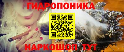 ECSTASY Славгород