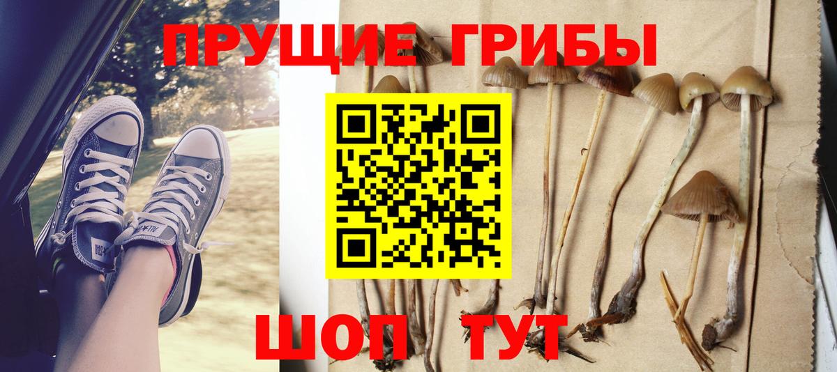 Псилоцибиновые грибы Psilocybe  Вход с VPN  Галлюциногенные грибы Cubensis  Семилуки 