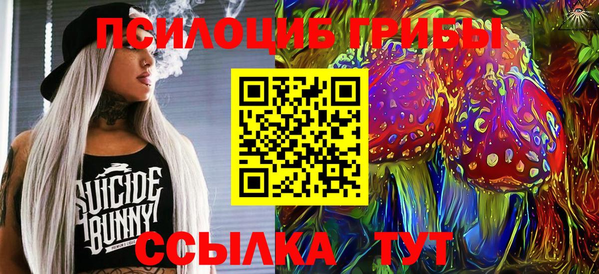Псилоцибиновые грибы Psilocybe Семилуки